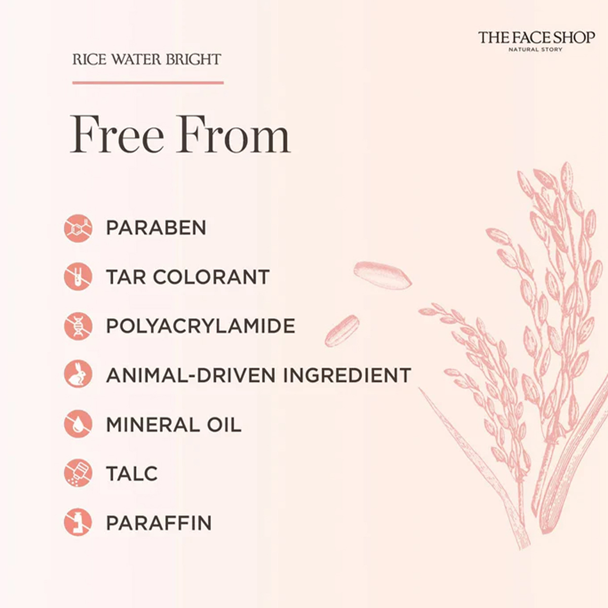 THE FACE SHOP RICE WATER BRIGH - Luxury Skincare Cleanser ulasan dan harga
